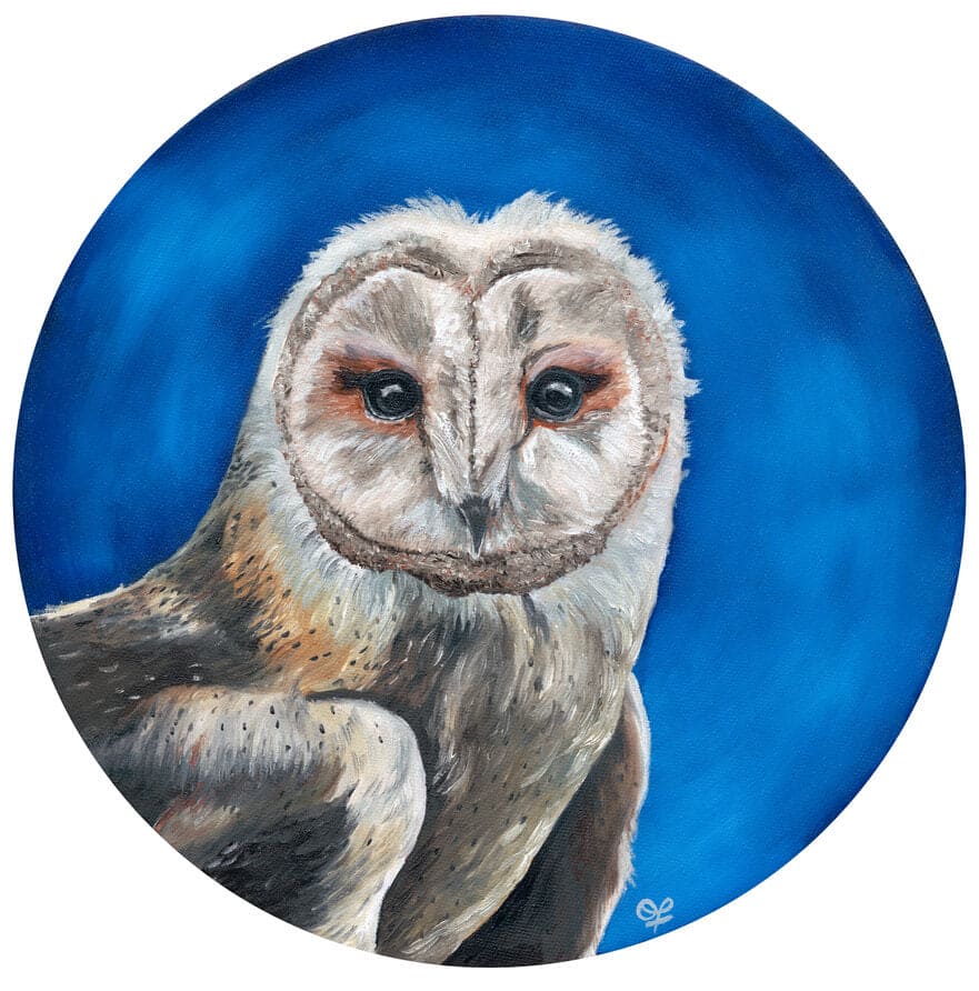 Barn Owl Original 12x12 - Olivia Franklin Art