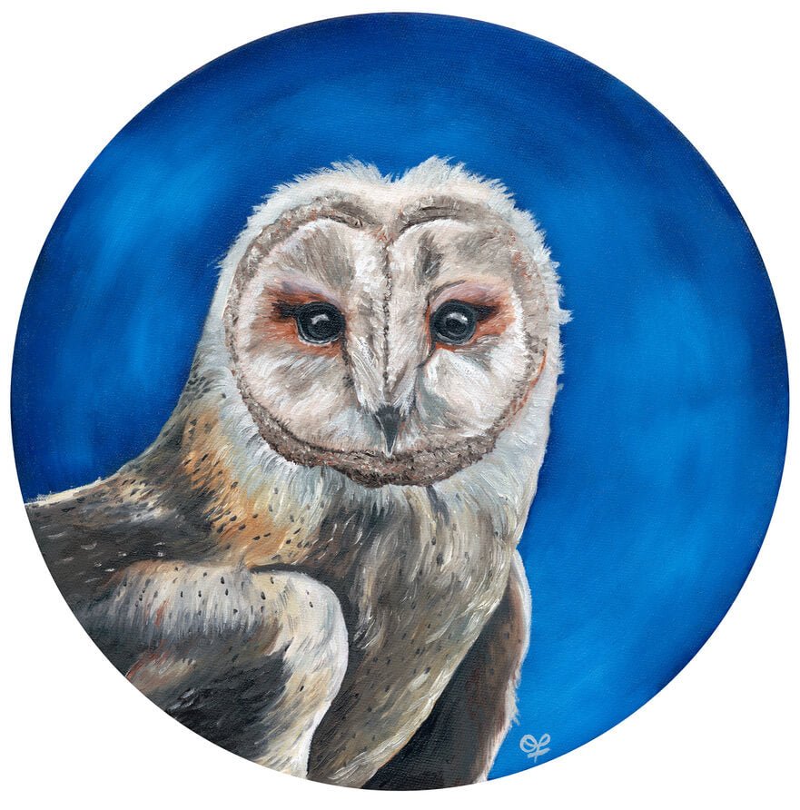 Barn Owl Print - Olivia Franklin Art