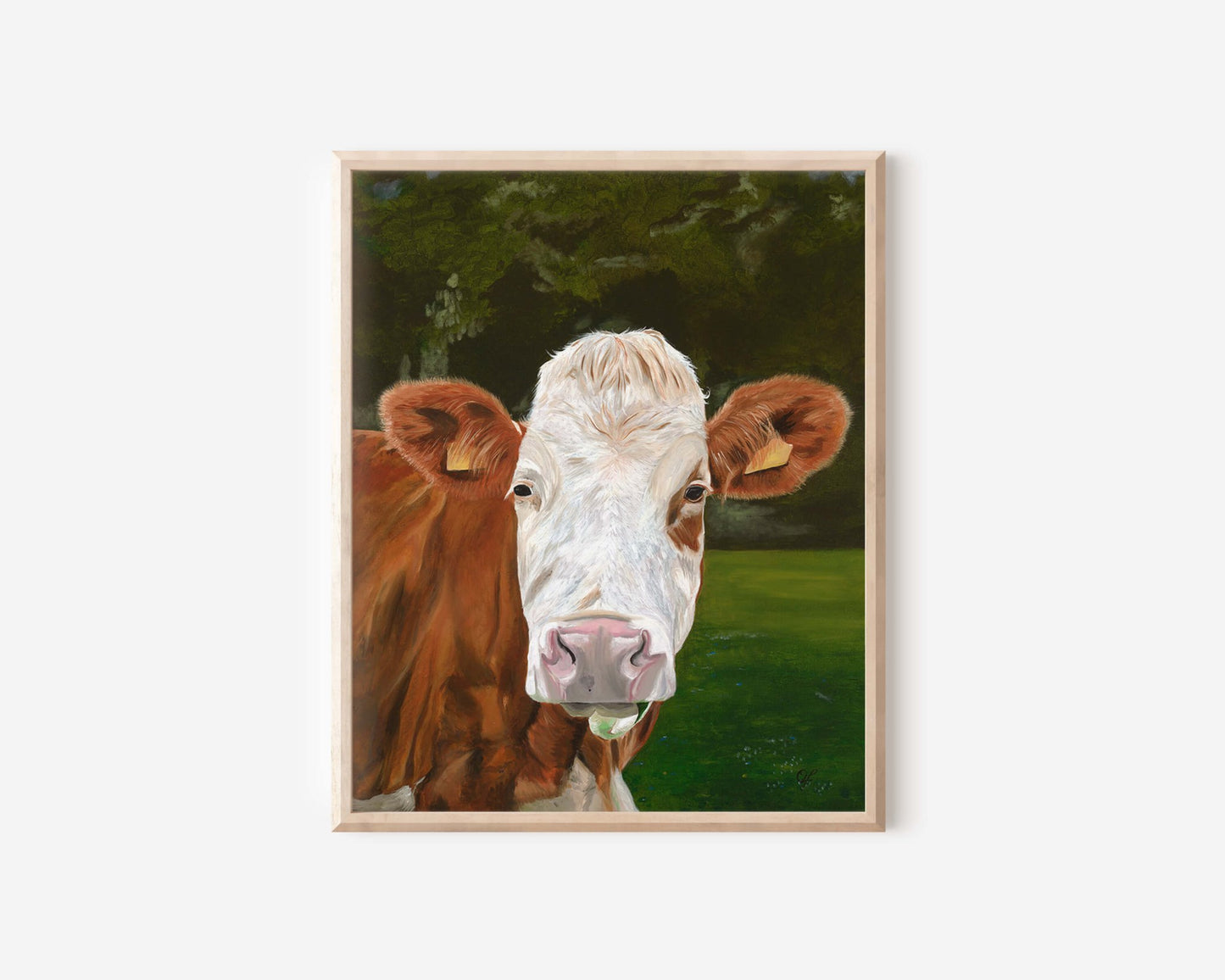 Bovine Beauty Print - Olivia Franklin Art
