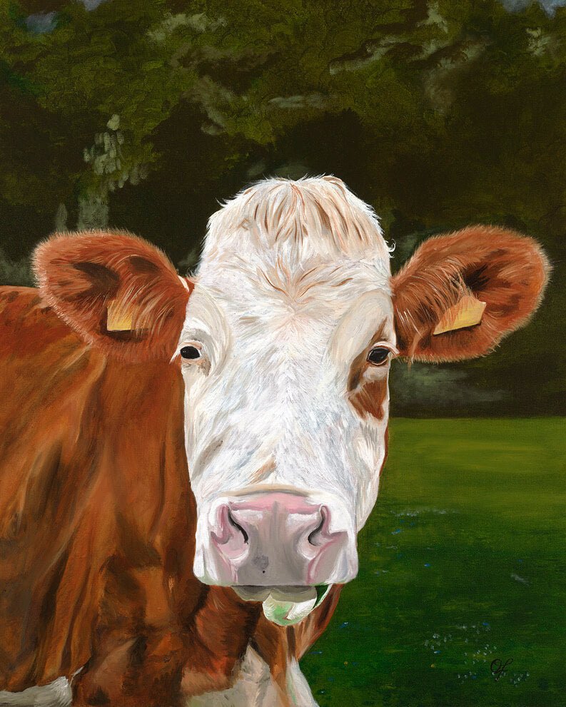 Bovine Beauty Print - Olivia Franklin Art
