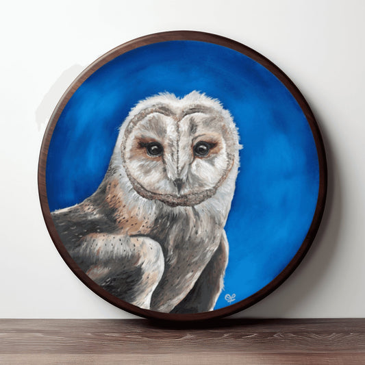 Barn Owl Original 12x12 - Olivia Franklin Art
