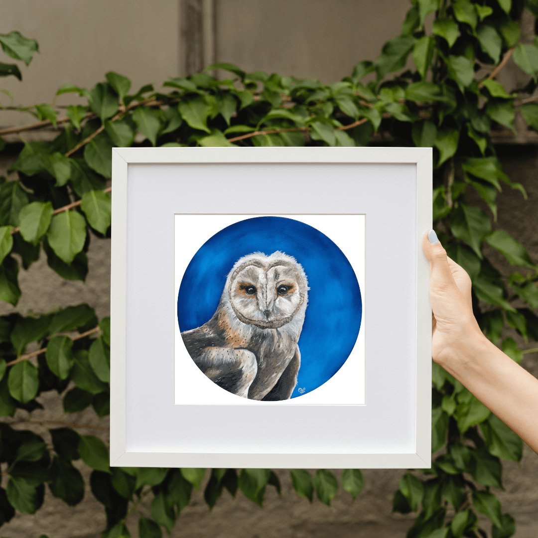 Barn Owl Print - Olivia Franklin Art