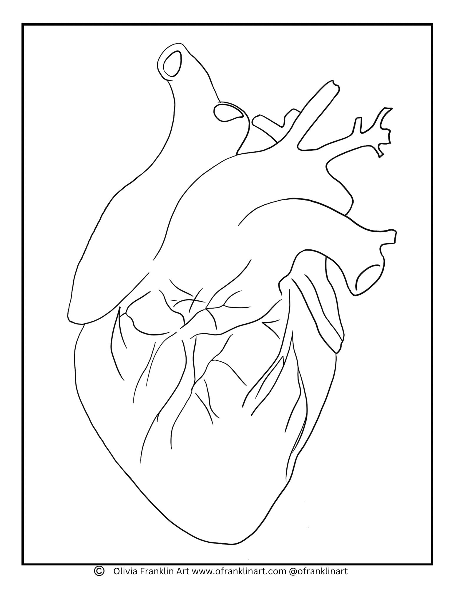 Heart Coloring Page - Olivia Franklin Art
