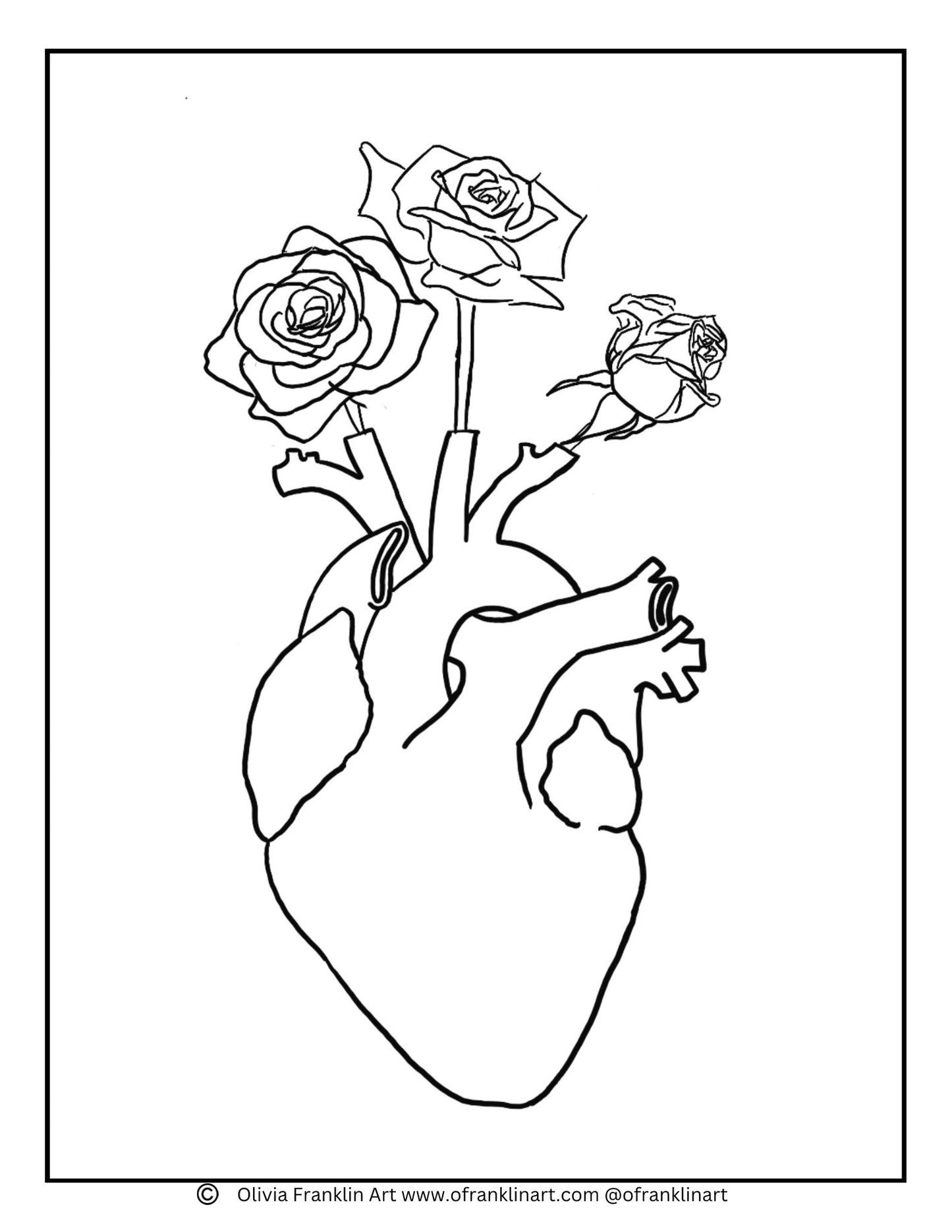 Three black roses coloring sheet - Olivia Franklin Art